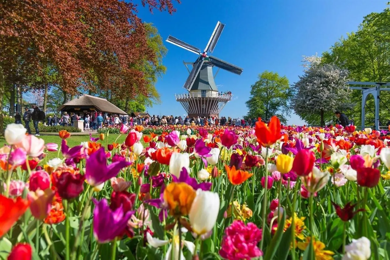 Ibis Styles Amsterdam Airport Hotel Amsterdam Airport Schiphol 3*,